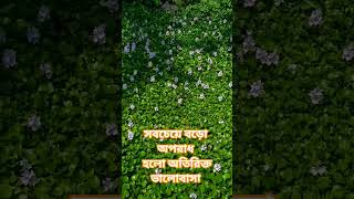 সবচেয়ে বড়ো অপরাধ হলো অতিরিক্ত ভালোবাসা। #nicestory #lovelypoetry #2026stutas