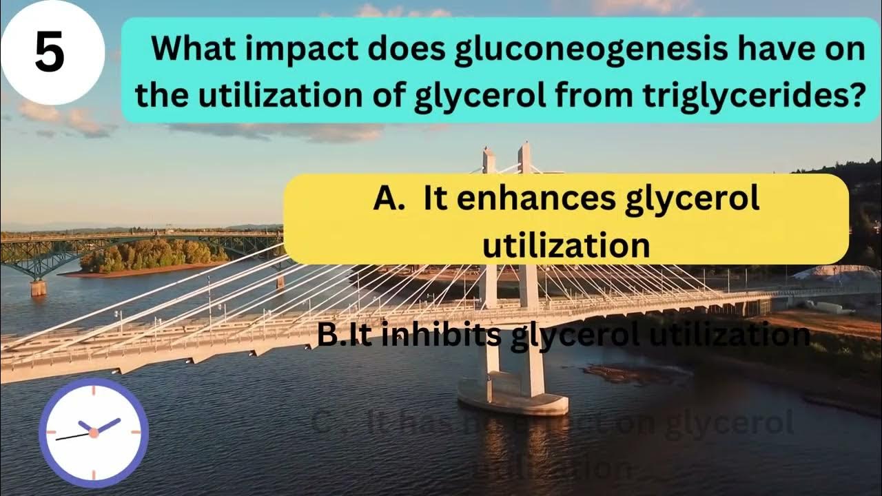 GLUCONEOGENESIS QUIZ PART 4 YouTube