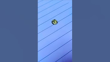 BUBBLE NAME #shorts#youtubeshorts#deepindiy#calligraphy#nameart#name#bubble#bubblesort#latteart#art