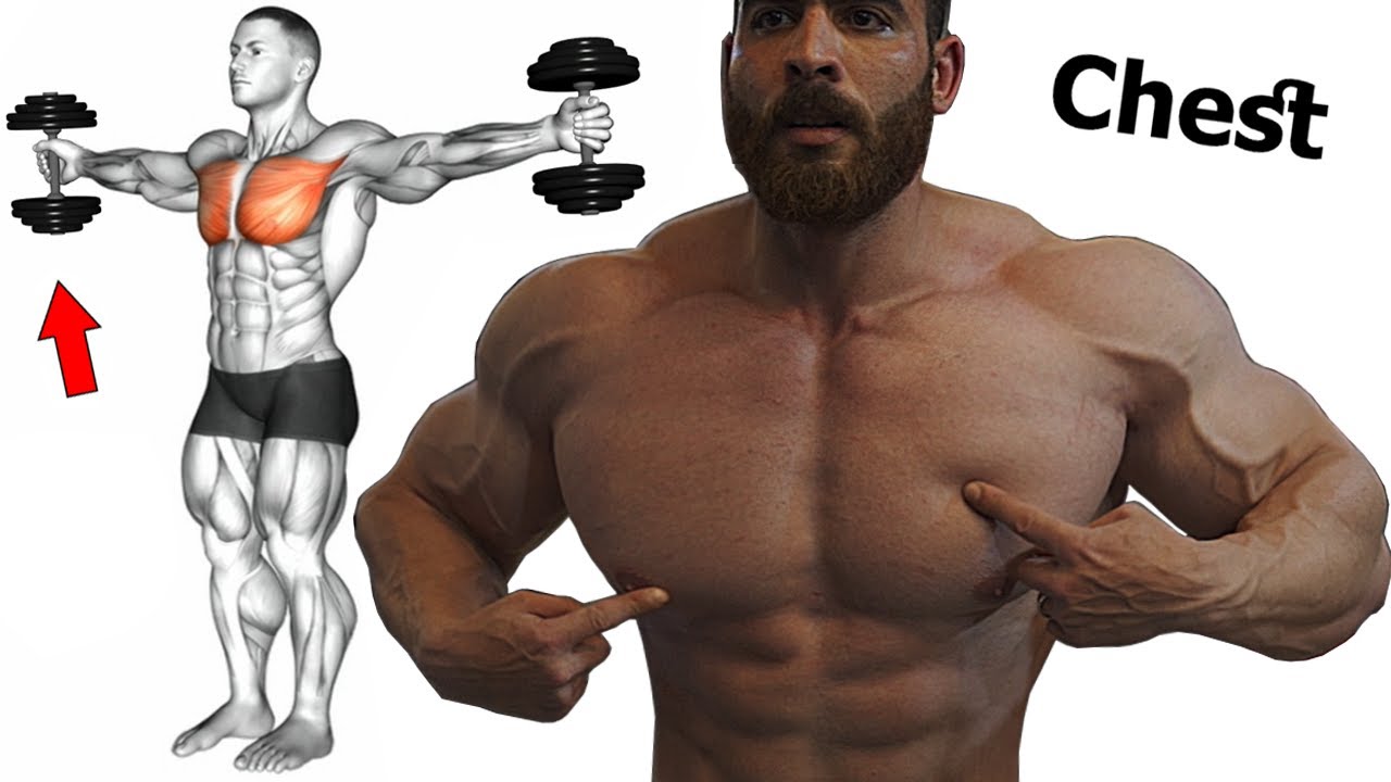 How to build chest fast - Best exercises - for chest building - YouTube