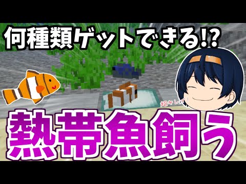カスタードゲーム実況 カスタードゲーム実況