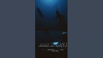 ذا النون بصوت القارئ إدريس أبكر 🌑♥️