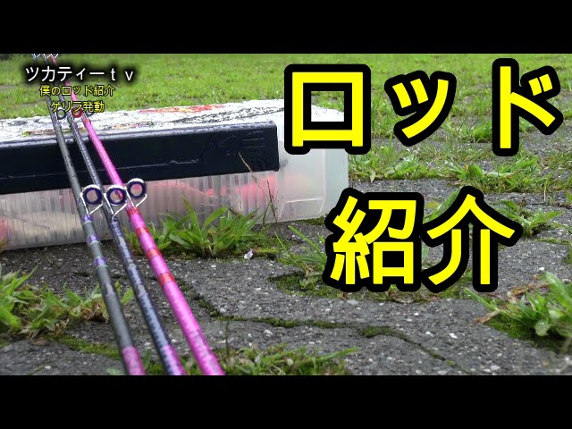 バス釣り ツカティーロッド紹介 その輝き その存在感 まさに バケモン トップウォーターロッド紹介 Youtube