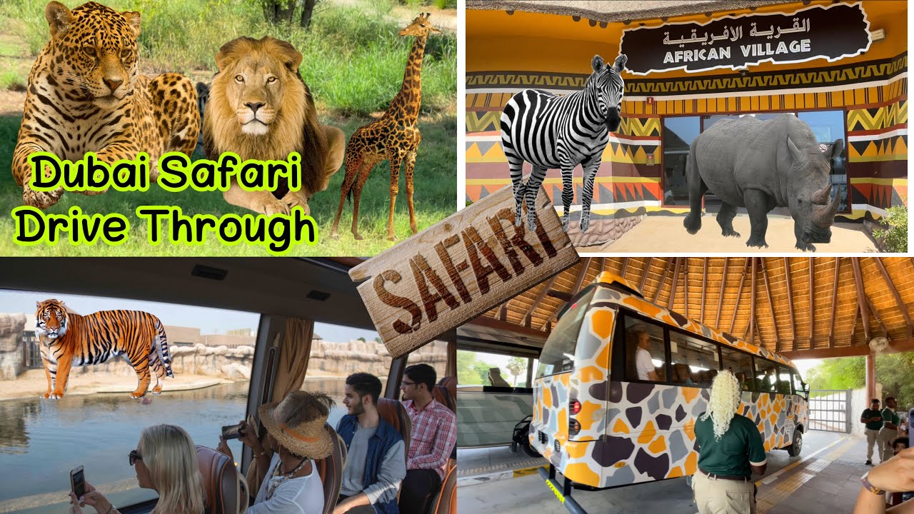 [4k]The Wildlife adventure At Dubai Safari Park Trip 2022 | Drive through | Tourist Attraction