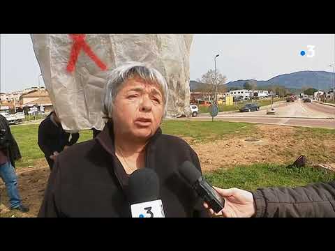 Image du reportage CORSE .. LA BACTERIE MENACE LA CORSE !.. Toute l'Agriculture risque de mourir !.. Xylella Fastidiosa (YouTube)