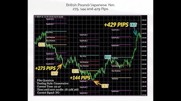 Fibo Quantum Review Indicator Demo - Is It Really Work?