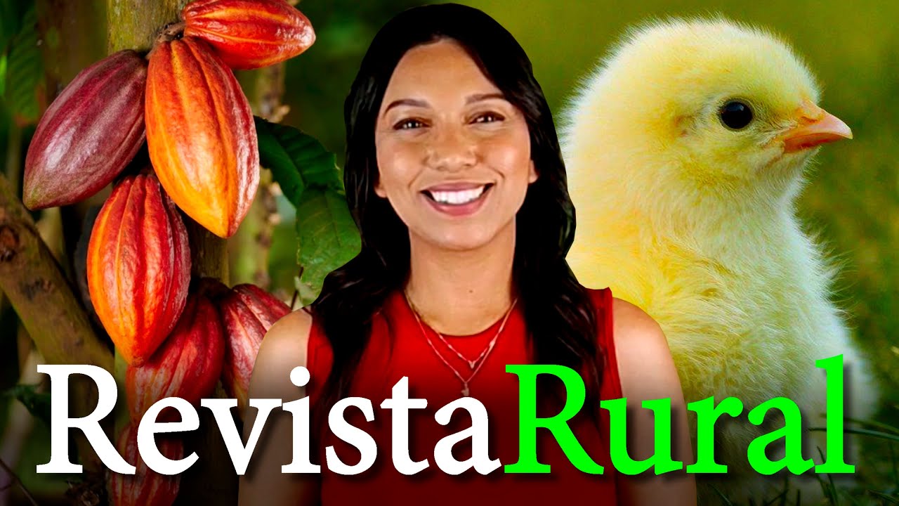 PROGRAMA REVISTA RURAL - 08/02/2026