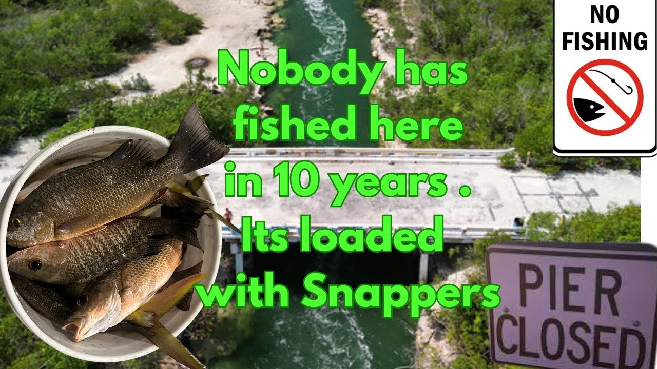 SNUCK into SECRET FENCED OFF Fishing Bridge {Snapper Infested!! }CATCH ...