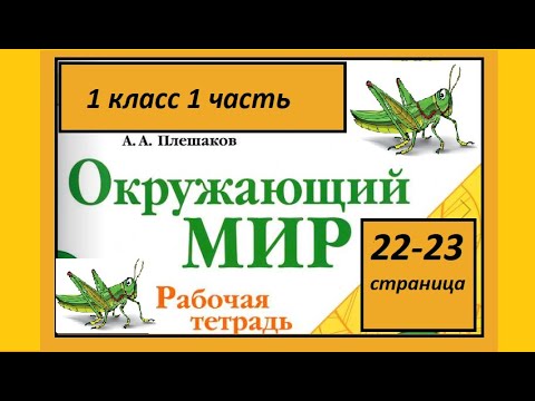 Окружающий мир 1 класс Кто такие насекомые? страница 22-23.