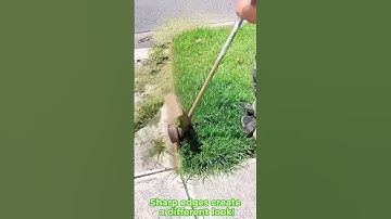 Insanely Satisfying Lawn Edging! ✨ #shorts #mowing #lawncare