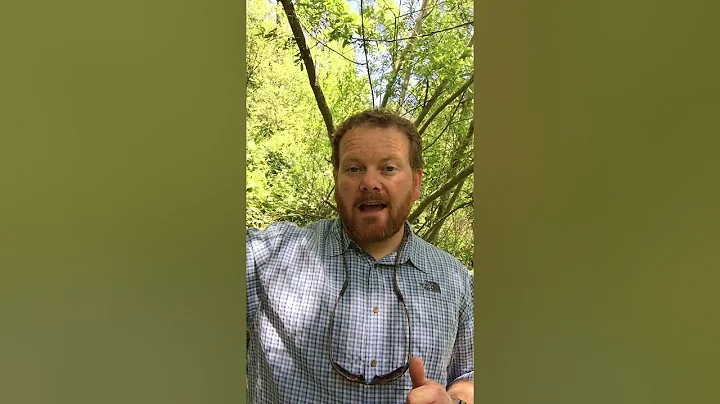 RCD Biologist Jonathan Koehler discusses available...