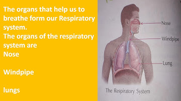 Class 3, Science, Chapter 2, Part 2, The Human Body by Renu Yadav