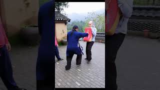 劈拳的威力只是来自手吗？Do you think the power of Pi Quan comes only from the hand? #xingyiquan#martialarts #形意拳