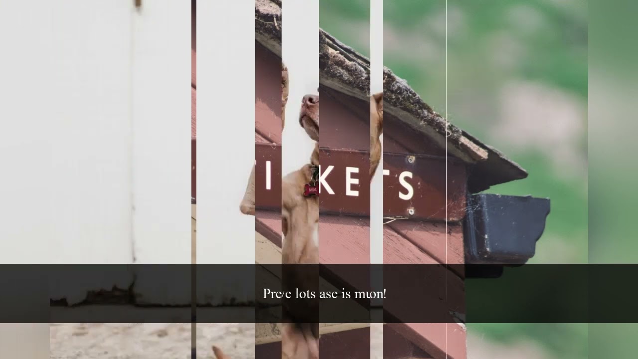 Wonderful Dawes!  But what the heck is an Arboretum?