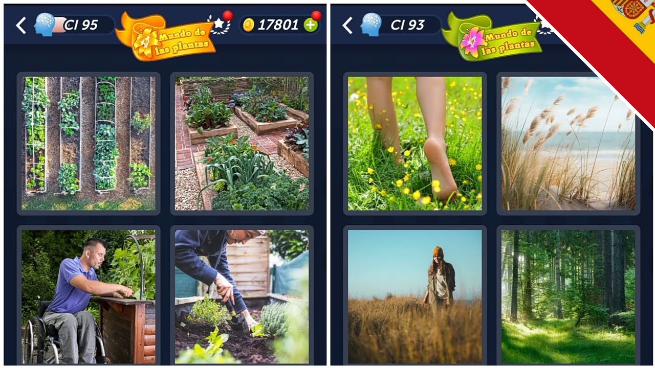 4 Fotos 1 Palabra - Mundo de las plantas - 01.03.2024 - Soluciones