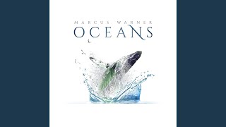 Emergency Protocol Net Worth