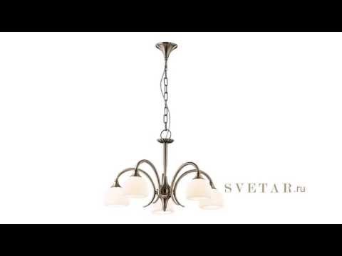 Подвесной светильник 1601/5 фабрика Odeon Light Подвесной светильник 1601/5 фабрика Odeon Light