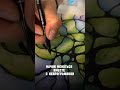 Какой вариант выбираешь ты?