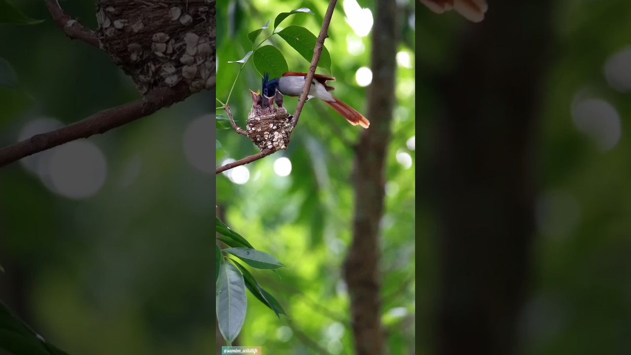 Mother love for her baby😘 