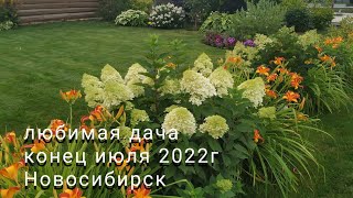 любимая дача в конце июля 2022г🍀🏡🍀