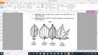 Botany: Phyllotaxis