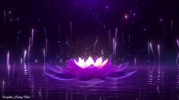 9 HOURS Tibetan Healing Sounds - Singing Bowls - Natural sounds Gold for Meditation & Relaxation