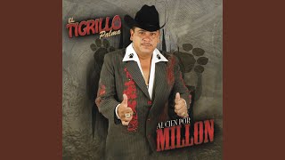 Los Pelones - El Tigrillo Palma