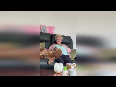 Heartwarming video shows gran singing nursery rhyme to pooch - who amazingly joins in
