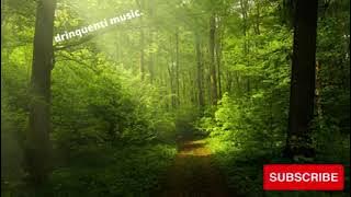 Endless- Hope  Daria Novo