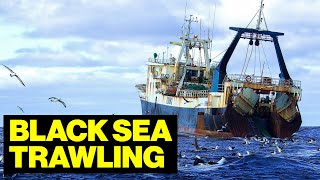 Life INSIDE a Commercial TRAWLING Vessel In The Black Sea by Our planet 24,236 views 5 days ago 27 minutes