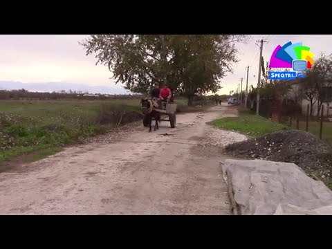 ერისიმედელების მოთხოვნა