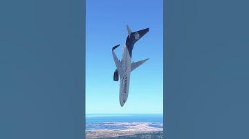 What is this?🤤 #infinteflight #funny #autopilot #funny #shorts