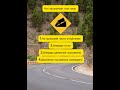 🚦 Вопросы и ответы DMV на русском | Дорожные знаки #нашивсша #русскиевсша #вамерике