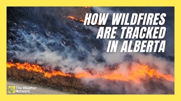 Detect, Track, and Attack: How Wildfire Movements Are Monitored by the Experts