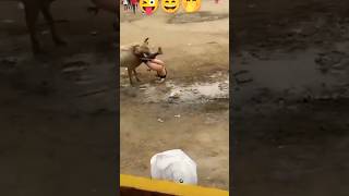 Comedy Number1Comedy Video Hindi Full Khatta Meetha Comedy Scenes