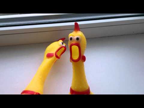 Screaming chicken