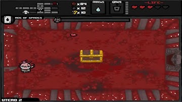 THE BINDING OF ISAAC #2: THE DOCTOR
