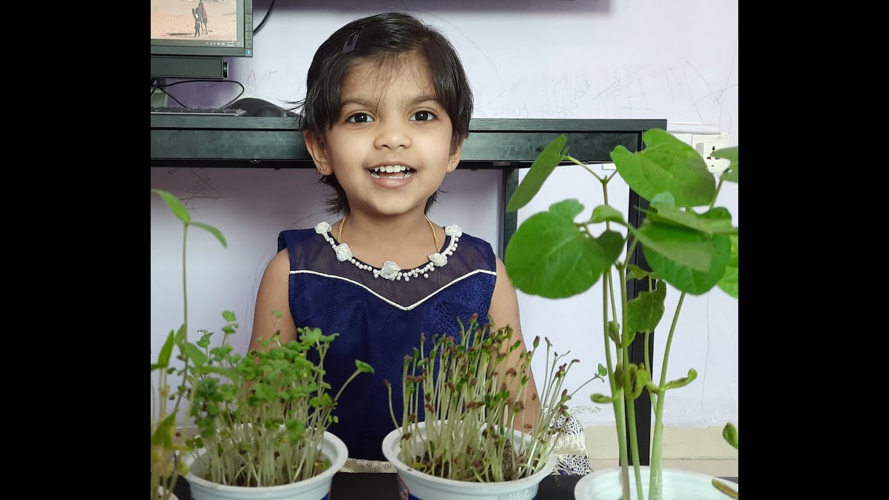 National Girl Child Day Wishes