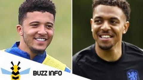 Borussia Dortmund agree personal terms with Donyell Malen
