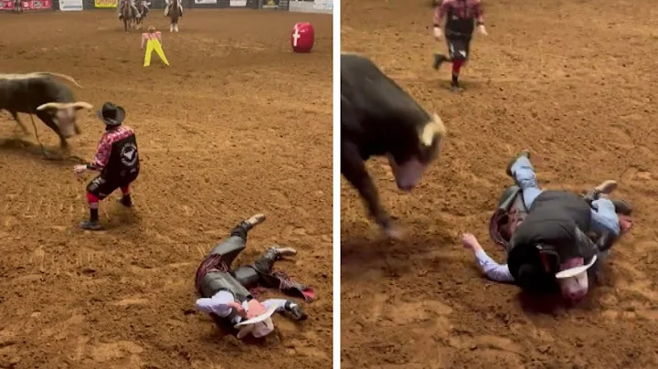 Knocked Out Cowboy Saved From Bulls Horns by Dad