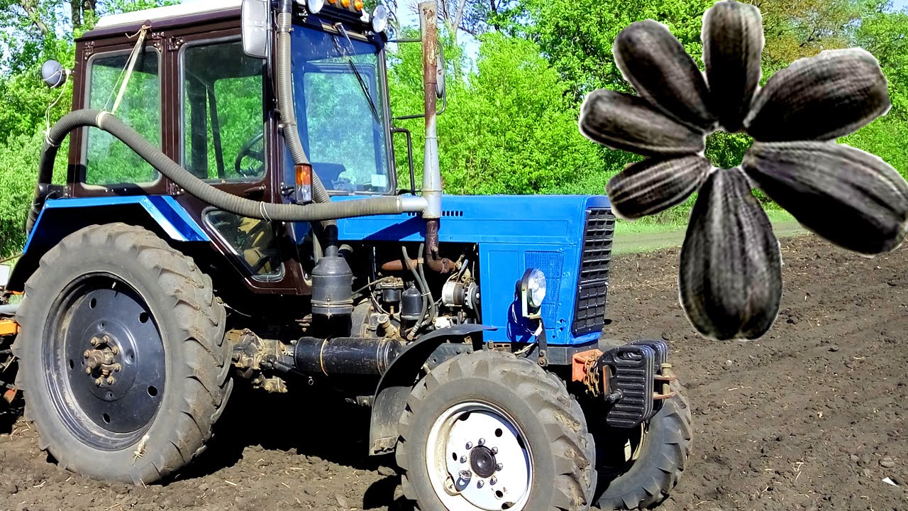 Как сеем подсолнух прошловековой сеялкой СУПН-6 в Наше время! - YouTube
