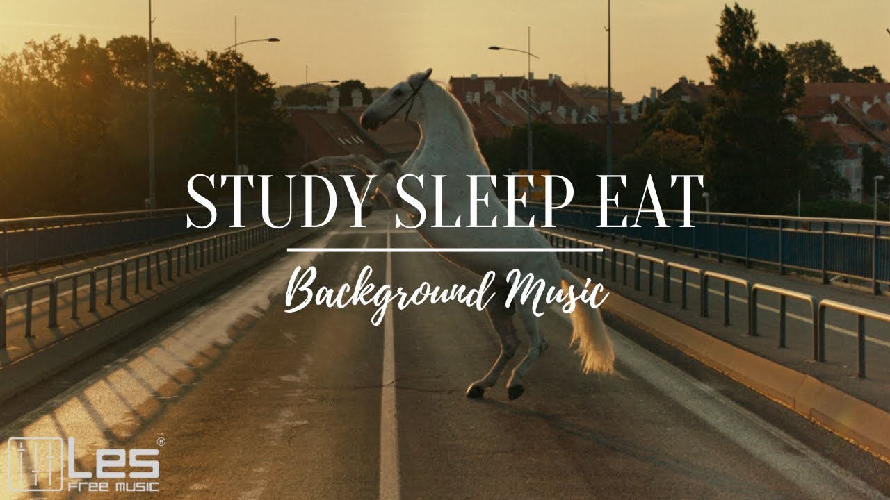 Study Sleep Eat : Electronic Lofi Sentimental Relaxing Background Music ...