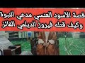 قصة مدعي النبوة الأسود العنسي اليمني وكيف قتله فيروز الديلمي والنبي أخبره الوحي وقال فاز فيروز قصة مدعي النبوة الأسود العنسي اليمني وكيف قتله فيروز الديلمي والنبي أخبره الوحي وقال فاز فيروز