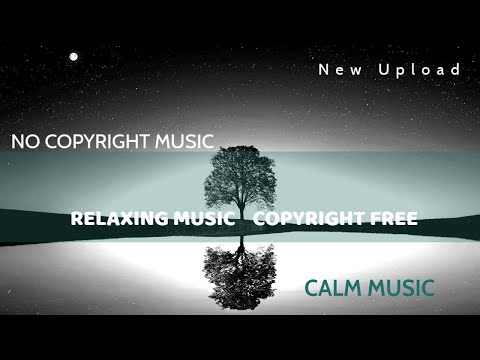 Relaxing Music No Copyright | No Copyright Relaxing Music | Calm Music Copyright Free