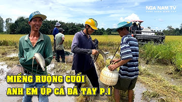 Săn Bắt Cá Bắt Chuột Theo Máy Cắt Úp Nôm Liên Tục Toàn Cá Bự Thấy Mê P.1/Catch The Fish/NGÃ NĂM TV