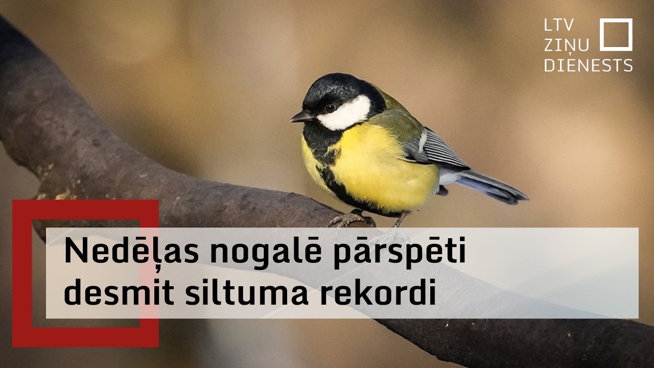 No aukstuma rekordiem februāra sākumā līdz siltuma rekordiem mēneša izskaņā