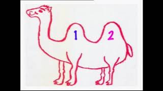 Sally The Camel Nursery Rhymes Kids Song Baby Rhymes - Kids Tv