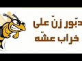معني المثل الشعبي دبور وزن علي خراب عشة
