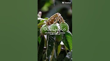 القرآن الكريم #quran #اكسبلور #المصحف #تلاوة_خاشعة #صوت_جميل #قران_كريم