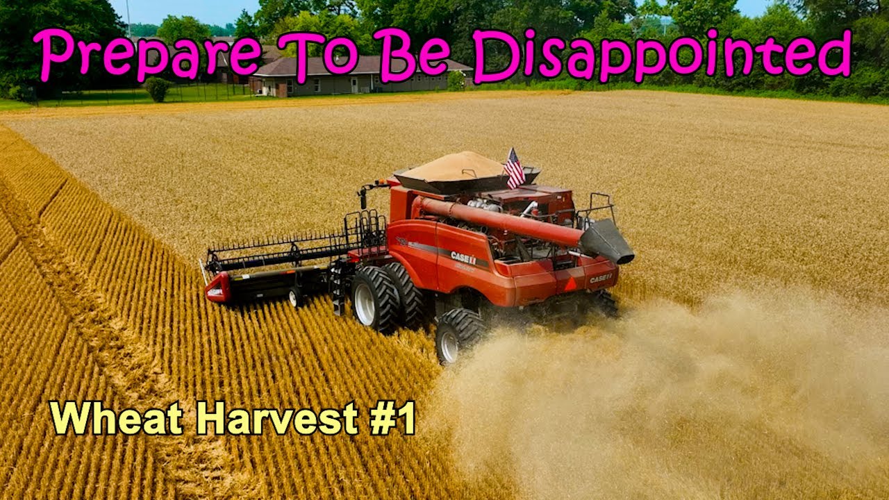 Prepare To Be Disappointed... Wheat Harvest #1 (6/6/24)